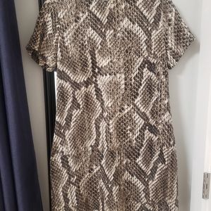 Olivaceous snakeskin dress